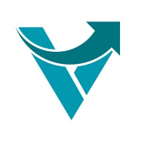 VneX CyberSec Logo
