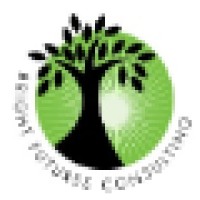 Bright Futures Consulting Logo