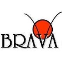 Brava Consultoria e Treinamento Logo