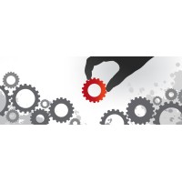 DataGuardsman Limited Logo