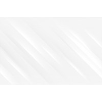 Flash Servicios México Logo