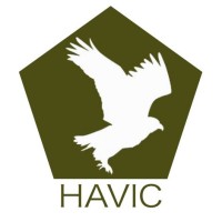 HAVIC Logo