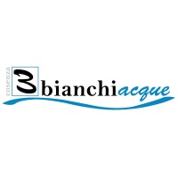 Bianchi Group S.R.L. Logo