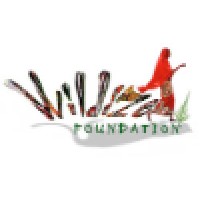 The WildiZe Foundation Logo