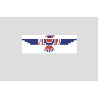Thunderbird Environmental LLC Logo