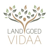 Vidaa Logo