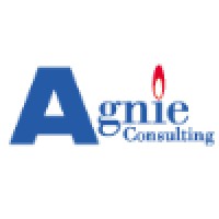 Agnie Consulting Logo