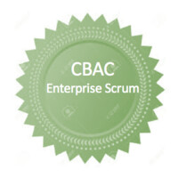 Enterprise Scrum Inc. Logo
