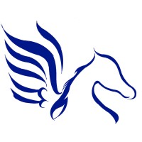 Pegasus Property Acquisitions LLC Logo