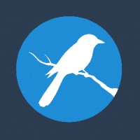Magpie Health Analytics Logo