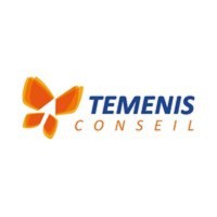 Temenis Conseil Logo