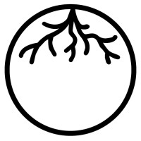 New Rootz Logo