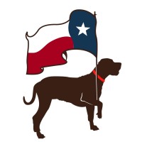 Lets Walk Austin Logo