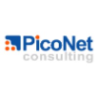 PicoNet Consulting Logo