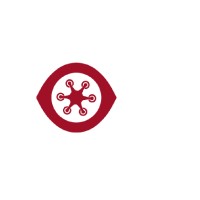 eDRONE visual inteligence Logo