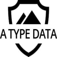A Type Data Logo