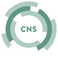 ConceptsnSolutions BV Logo