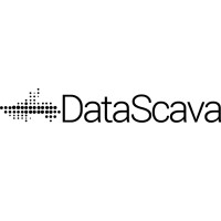 DataScava Logo