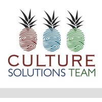 Culture Solutions Team Logo