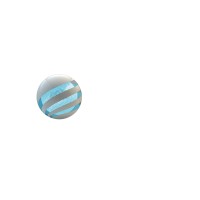 Digital Inteligent Solutions Logo