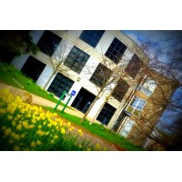 University of York Economics Department Logo
