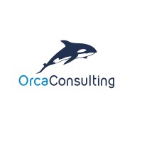 Orca Consulting LLC Logo