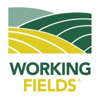 Working Fields Logo