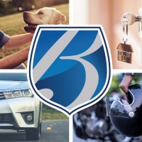 Browns Insurance Agency, Inc Logo