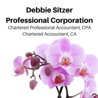 Debbie Sitzer Professional Corporation CPA, CA Logo