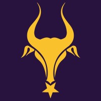 Raging Bull Digital Logo