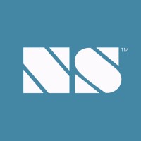 Noah E. Spiegel Consulting Logo