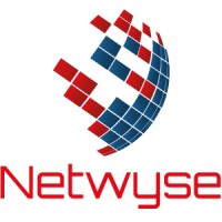 Netwyse Logo