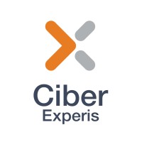 Ciber Norge Logo
