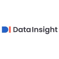 Data Insight Logo