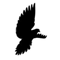 Digitrade Logo