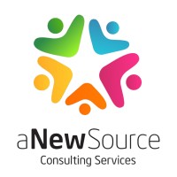 aNewSource Consulting Services Logo