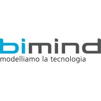 BiMind Srl Logo