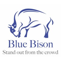 Blue Bison Recruitment Logo