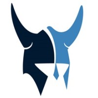 Viking InfoTech LLC Logo