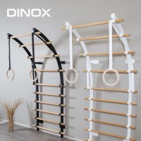 Dinox Sport Oy Logo