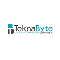 Teknabyte Consulting, LLC Logo