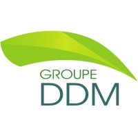 Groupe DDM Logo