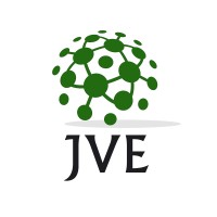 JVE Consultoria Logo