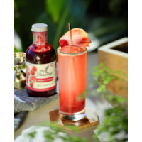 Barmalade - Premium Fruit Mixers Logo