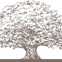 Brown Lucas Consulting Logo