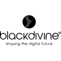 Blackdivine LLC Logo