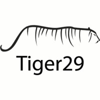 Tiger29 - Sioux Falls SEO Logo