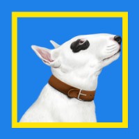 Agência Bulls Logo