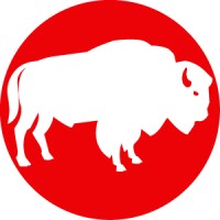 White Buffalo Consultants Logo