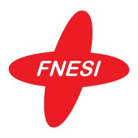 FNESI - Fédération Nationale des Étudiant·e·s en Sciences Infirmières Logo